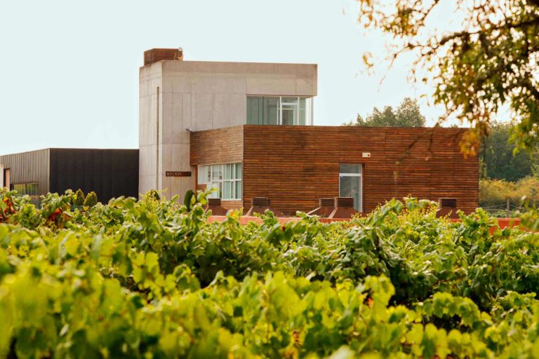 BODEGA LOSADA