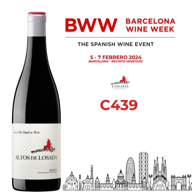 Losada en la BWW C439